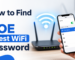 Goe Guest Wifi Password