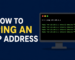Ping an ip address